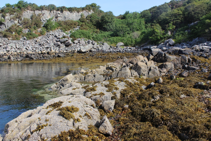 Rocky shore at Skye Bridge. A variety of seaweed and lichen species are present on rocky outcrops and the shore.