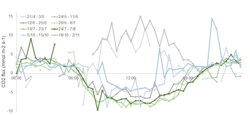 A graph with 8 differently coloured lines for different times of the year indicating diurnal CO2 fluxes.