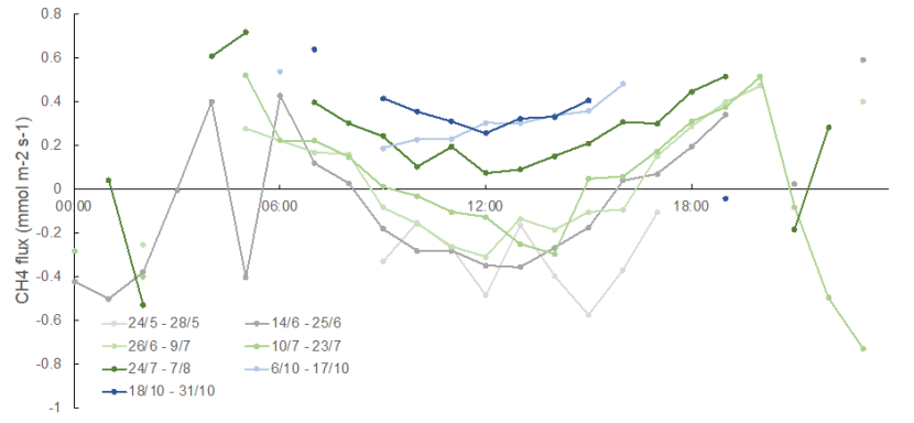 A graph with 8 differently coloured lines for different times of the year indicating diurnal CH4 fluxes.