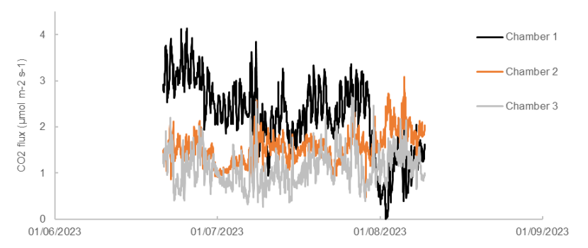 Graph with 3 differently coloured lines representing data from each of the three forced diffusion chambers.
