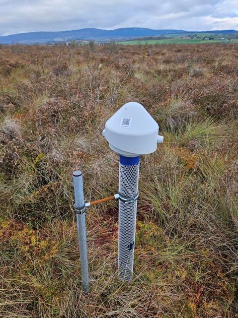 A medium-sized, mushroom-shaped white device on the bog surface.