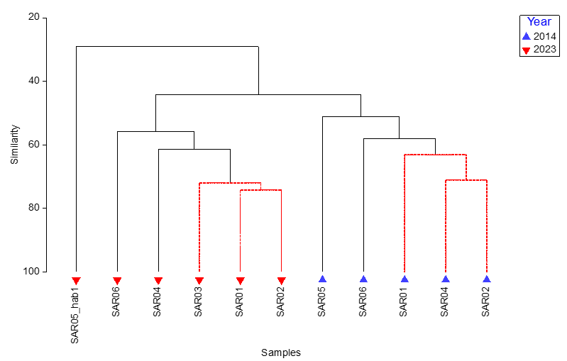 Plot showing cluster analysis of Phase II survey data