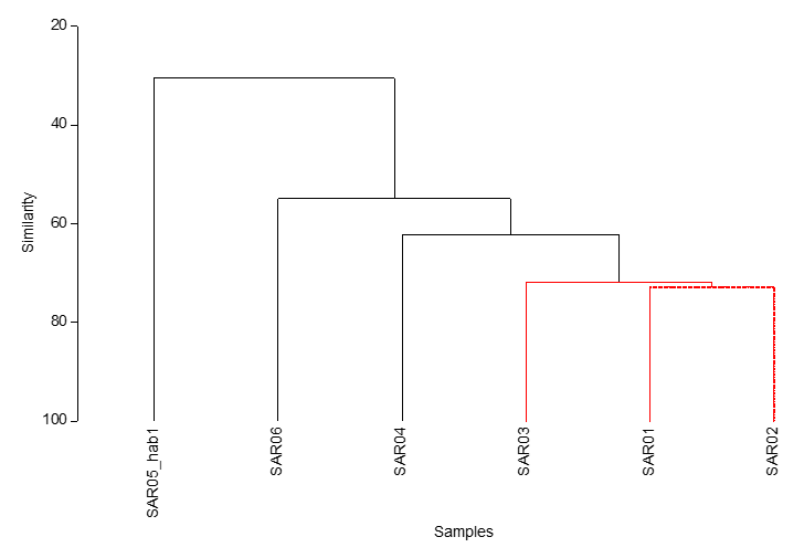A graph showing the biological similarity relationship between each of the six maerl habitats recorded during the survey.