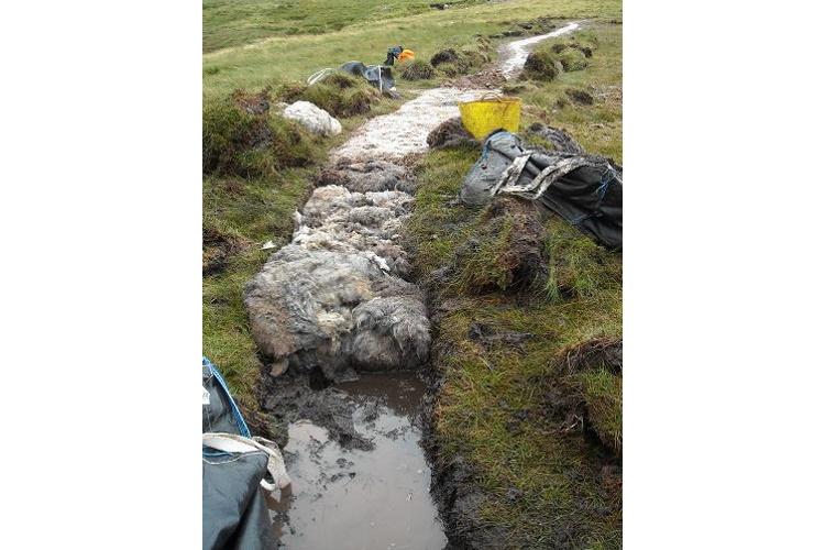 Path tray partly filled with tightly rolled sheep fleece to float a path over deep peat