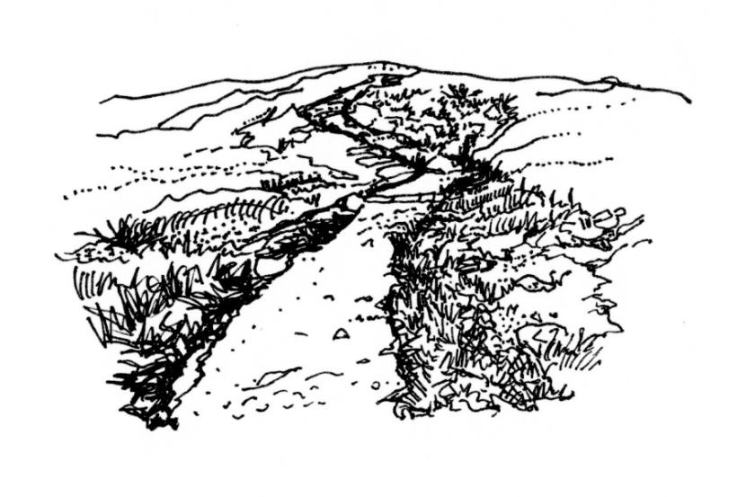 Diagram of an upland path after site restoration, as described in section 4.0 of the Upland Pathwork Manual.