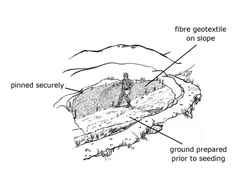 Diagram of seed being sown by hand, as described in section 4.1 of the Upland Pathwork Manual.