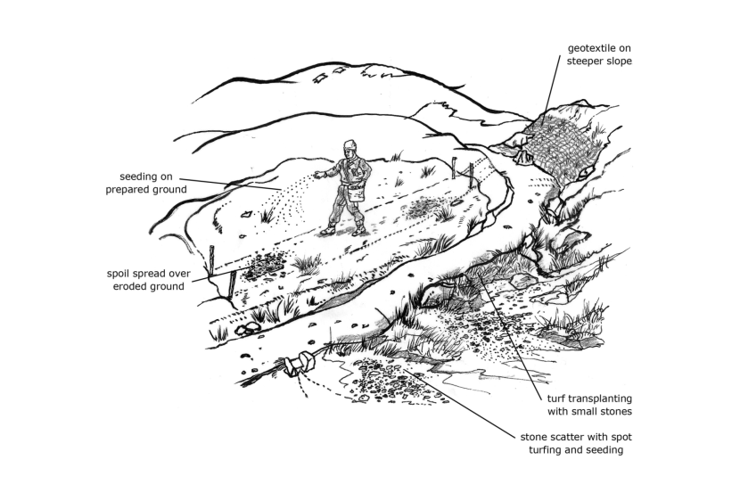 Diagram of seed being sown by hand, as described in section 4.5 of the Upland Pathwork Manual.