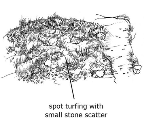 Diagram of spot turfing, as described in section 4.1 of the Upland Pathwork Manual.