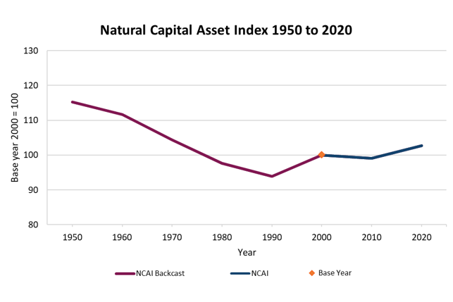 A line graph as described in the Natural Capital Asset Index summary 2025 