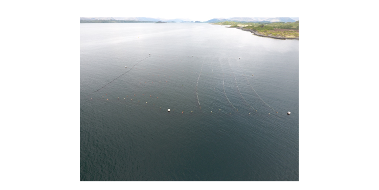 Aerial photograph showing a grid-based seaweed cultivation system just off the coast. Large white buoys define the corners of the grid and lines of small, coloured floats are visible on the sea surface.