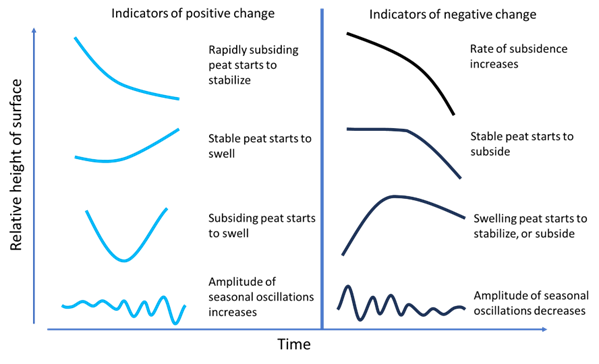 Schematic diagram illustrating positive and negative change