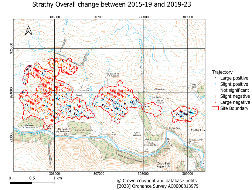 Strathy overall trajectory of change