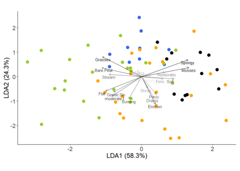 Linear discriminant analysis graph