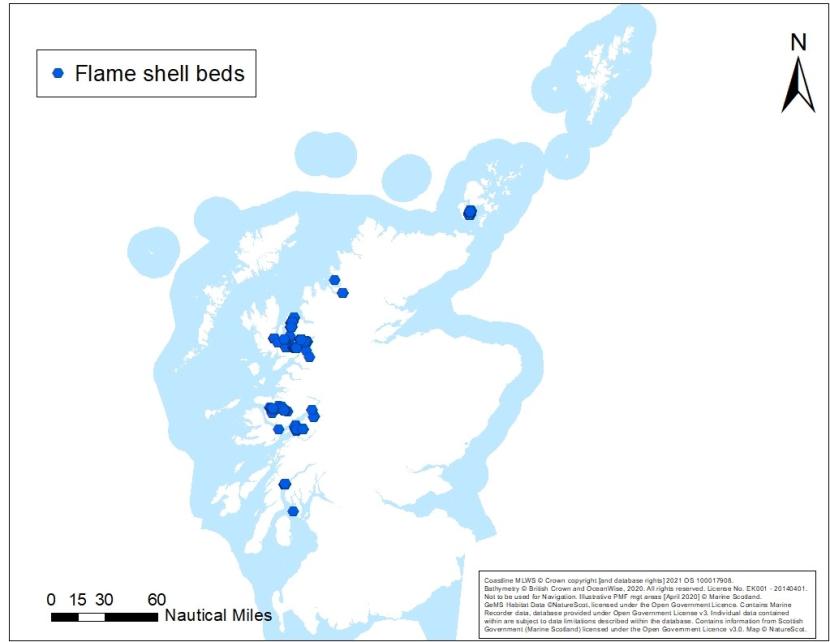 A map showing an overview of flame shell records off Scotland's coast.