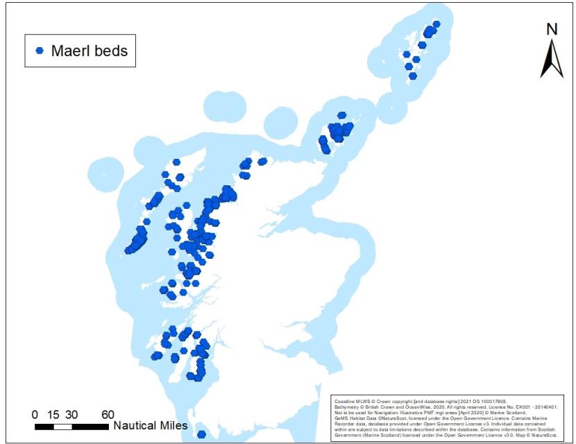 A map showing an overview of maerl bed records off Scotland's coast.