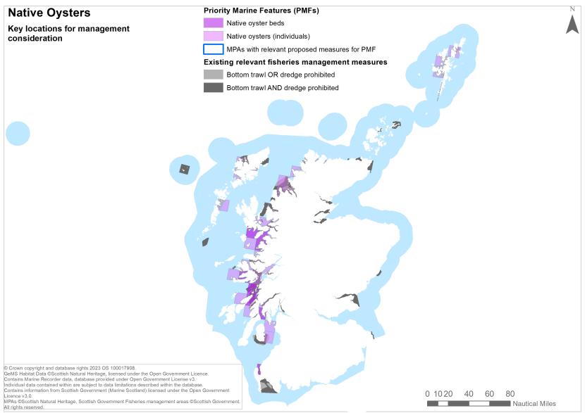 A map showing key locations for the protection of native oysters off Scotland's coast.