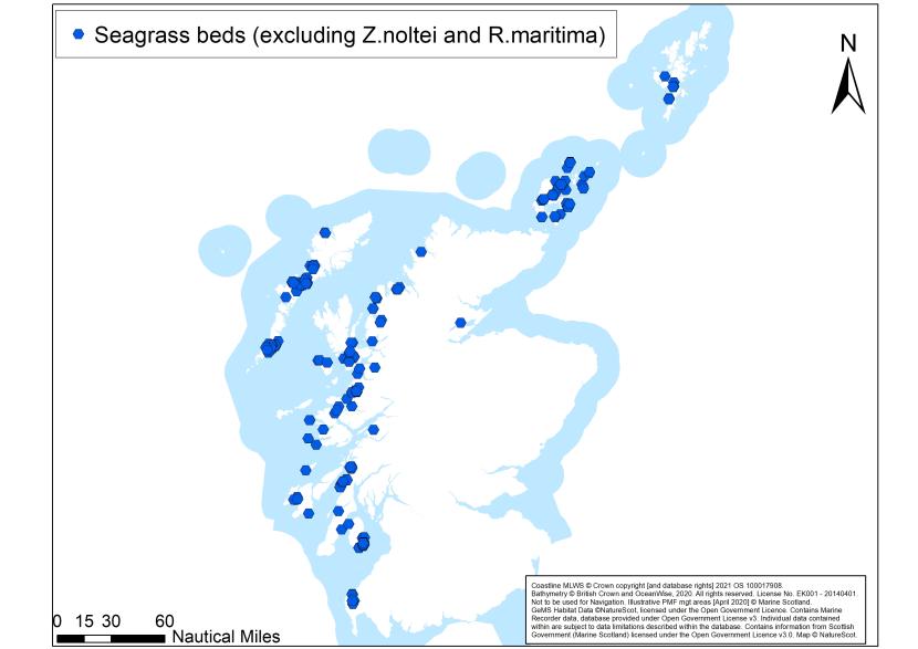 A map showing known locations of seagrass beds off Scotland's coast