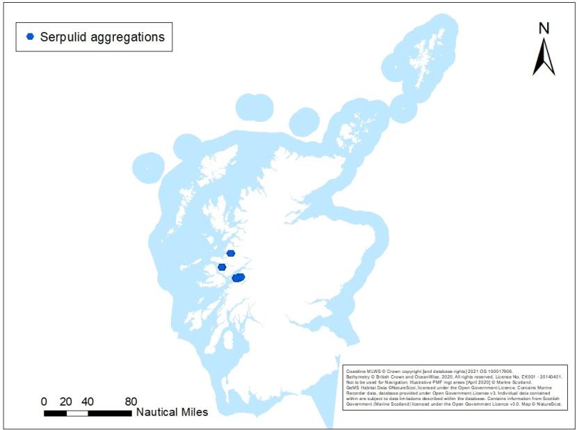 A showing an overview of serpulid aggregation records off Scotland's coast