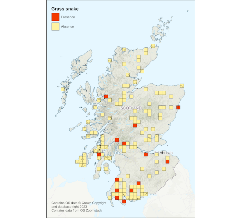 Map of Scotland showing the location of Adder Survey questionnaire returns from each 10km square. Responses indicating presence of grass snakes are shown in red, and absence in yellow.