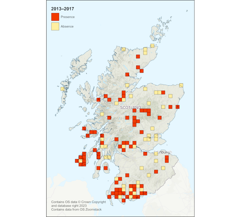 Map of Scotland showing the location of Adder Survey questionnaire returns indicating presence of adders during the period 2013‒2017 within a 10km square in red, and absence in yellow