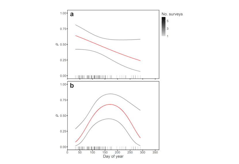 Line graphs showing predicted detectability values and confidence limits (95%) for adder and common lizard by day of year