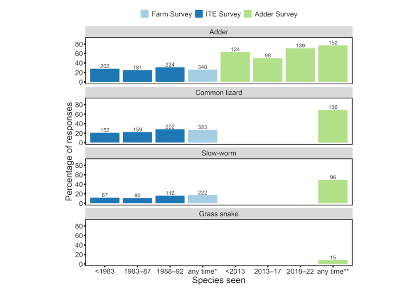 Bar graph showing the percentage of responses indicating adders, slow-worms, common lizards and grass snakes were seen over different time periods for the Farm Survey, ITE Survey and Adder Survey.