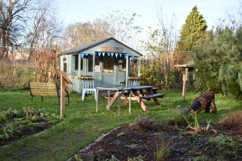 community garden with a summerhouse and a picnic table outside