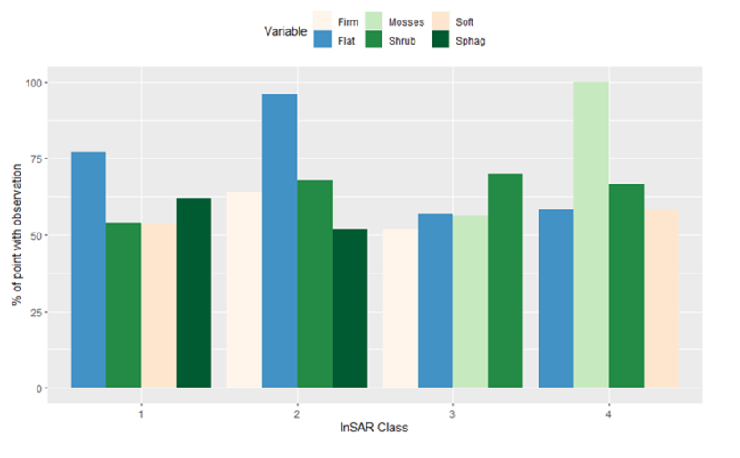 Bar chart of the top four most observed field observations for each InSAR class