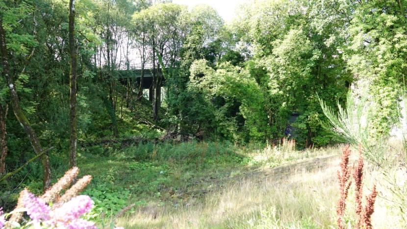 A relatively open area within woodland at land parcel 1 showing steeply sloping ground leading up from bridge supports to the A82. 