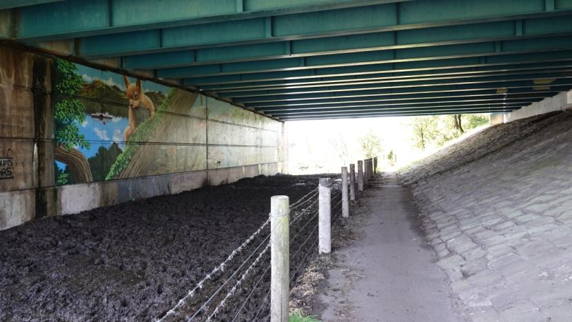 View through an underpass with a six metre wide muddy track with extensive hoof prints of cattle, with concrete footpath alongside separated by a stock fence. 