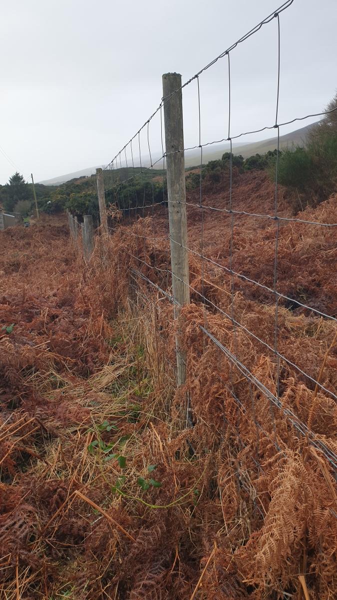 Image of wire mesh deer fencing on wooden posts with dead bracken to either side.