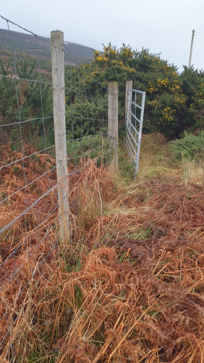 Image of wire mesh deer fencing showing also a gate stuck in open position wide enough for deer to pass through.