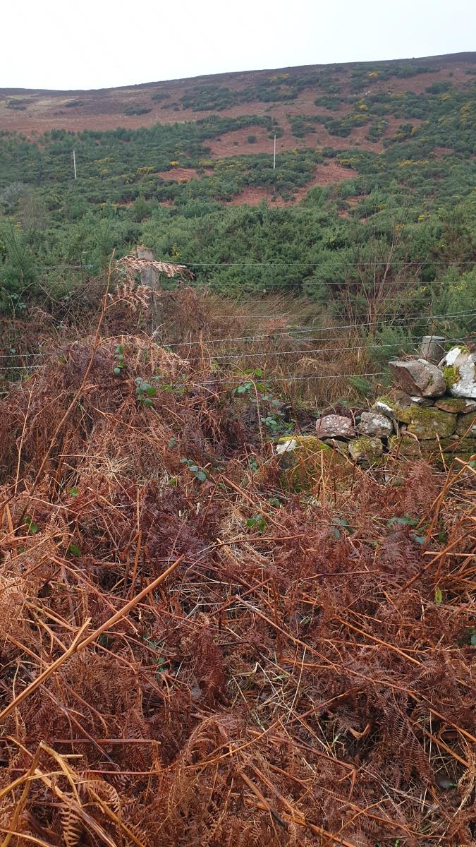 A double line of stock fencing in the foreground, with gorse and moorland habitats on a hillside in background. 