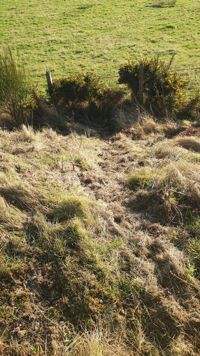 Close-up of a well-used animal track leading down a slope to stock fencing. 