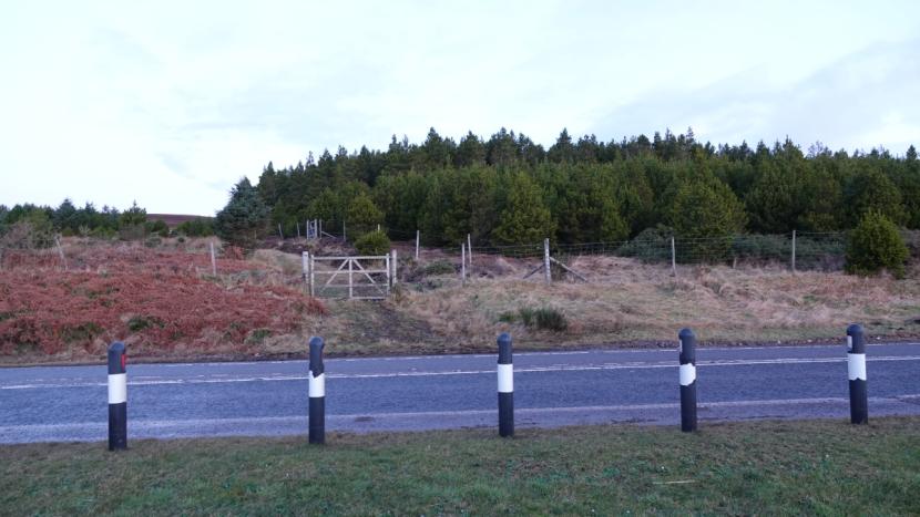 View across the A9 road with a conifer plantation woodland on the far side surrounded by deer fencing, including a wooden gate.