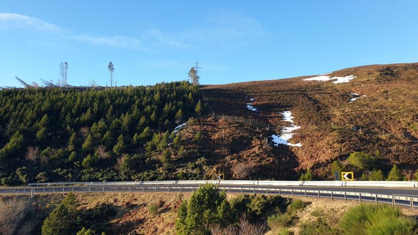 View of the A9 crossing steeply sloping terrain at Ord of Caithness. A line of deer fencing at variable distances from the road separates moorland on the hillside from a woodland plantation on the left.