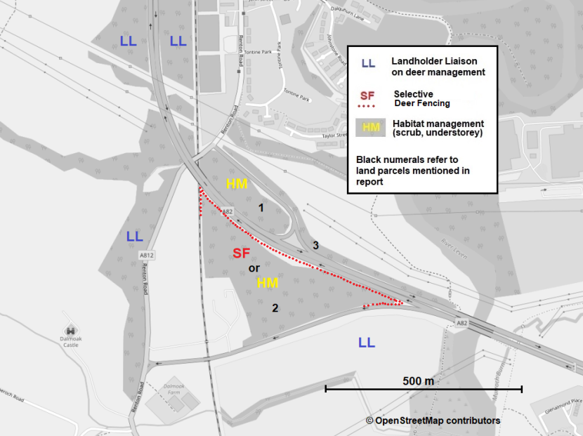 Approximate locations for potential DVC mitigation measures at A82 Renton junction.