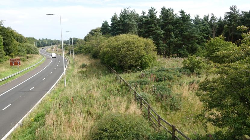 M8 eastbound off-slip, with wide, grassy verge on the carriageway-side of a post and rail highway boundary, and a mix of high woodland and more open areas of developing scrub woodland. 