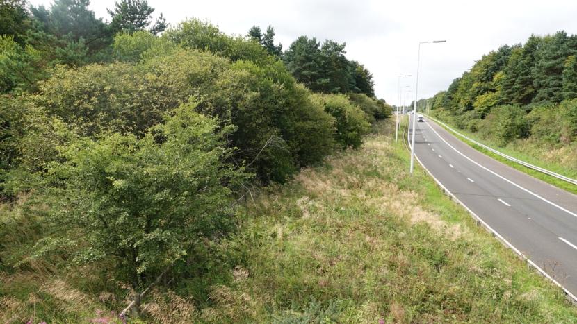 A motorway slip road with a wide grassy verge on one side and narrower verge on the other side, in both cases bounded by scrub woodland and taller canopy woodland further in from the road. 