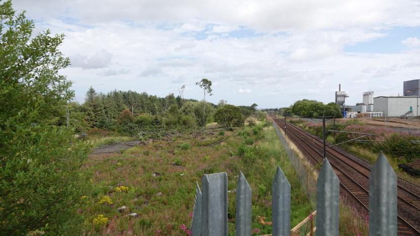 Part-clear felled woodland on the left, separated from a two-track railway line on the right by a wire mesh fence with wooden posts. 