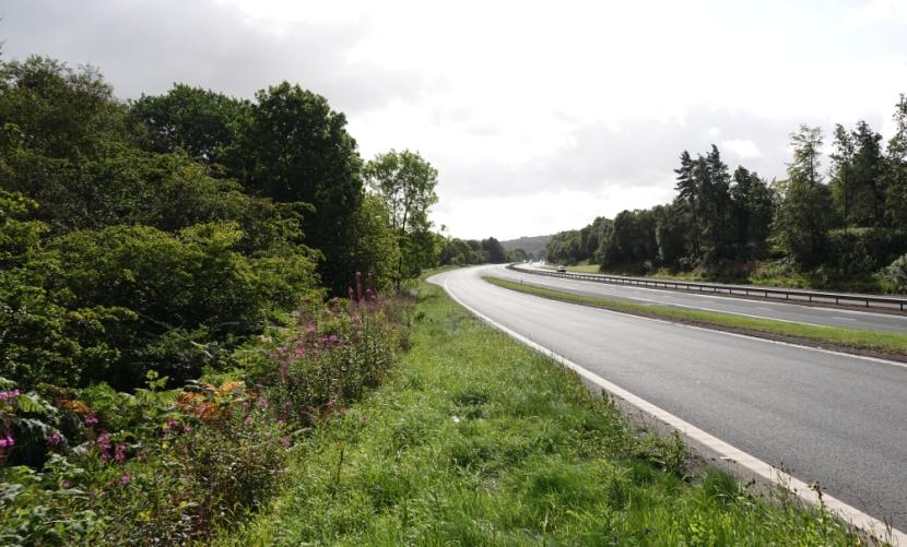 Grassy, approximately three metre wide verge near southbound M9 on-slip, abutted by linear belt of woodland further from the road.