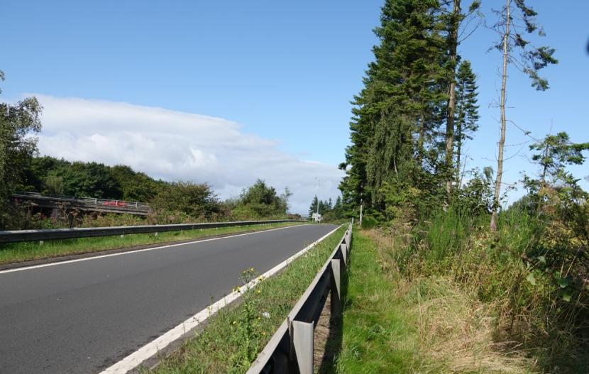 View of slip road and safety barrier with narrow linear belt of woodland on its outside and very narrow grassy verge on the carriageway side. 