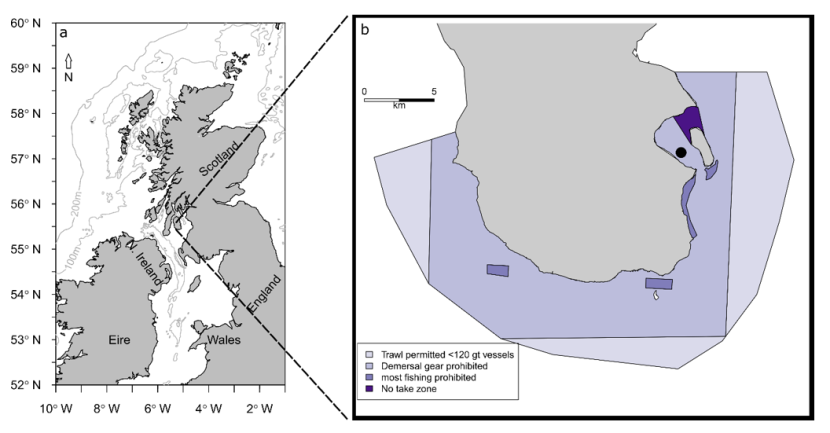 Map of the South Arran Nature Conservation Marine Protected Area showing MPA management measures