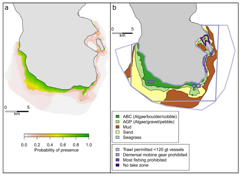 Maps of predicted probability of wrasse presence and substratum type within the South Arran Nature Conservation Marine Protected Area.