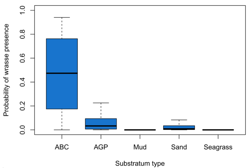 Boxplots of the probability of wrasse presence across all species for different hard and soft substratum types.