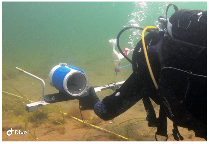 Photograph of a SCUBA diver conducting a transect survey along a leaded line on soft substrate using a stereo-video camera system.