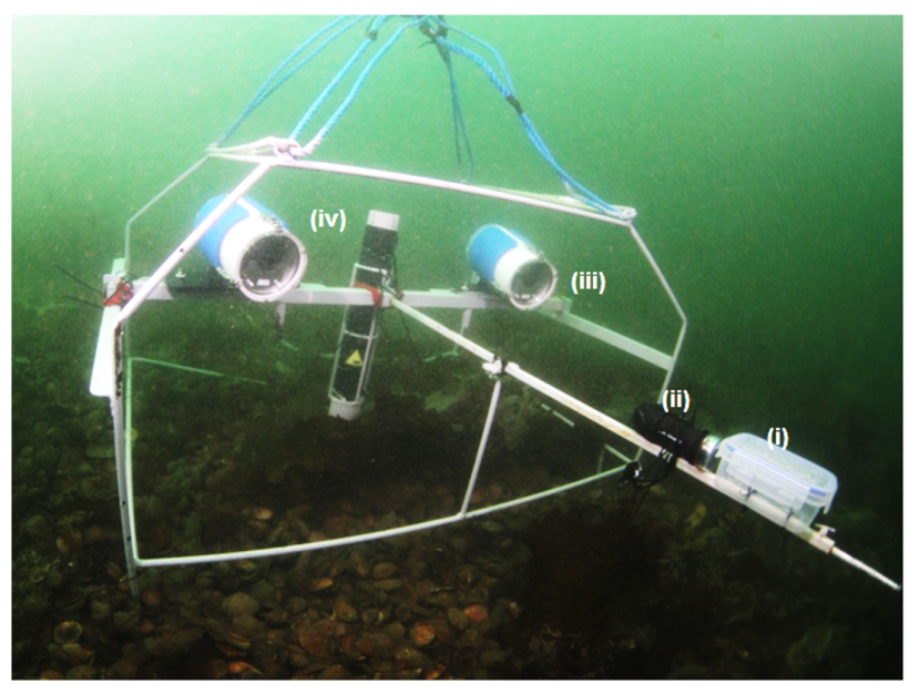 Photograph of an SBRUV camera frame deployed on the seabed with bait, strobe light, camera, and data logger labelled.