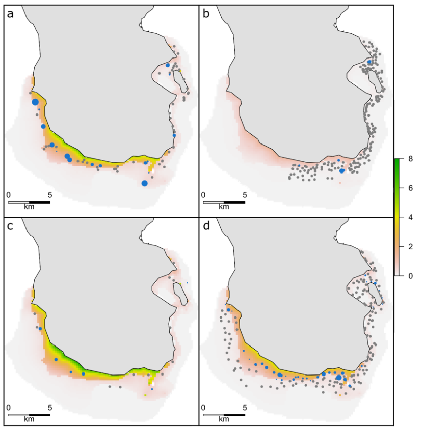 Heatmaps of predicted relative abundance of wrasse from generalised additive models are shown for 2013, 2014, 2017, and 2018.