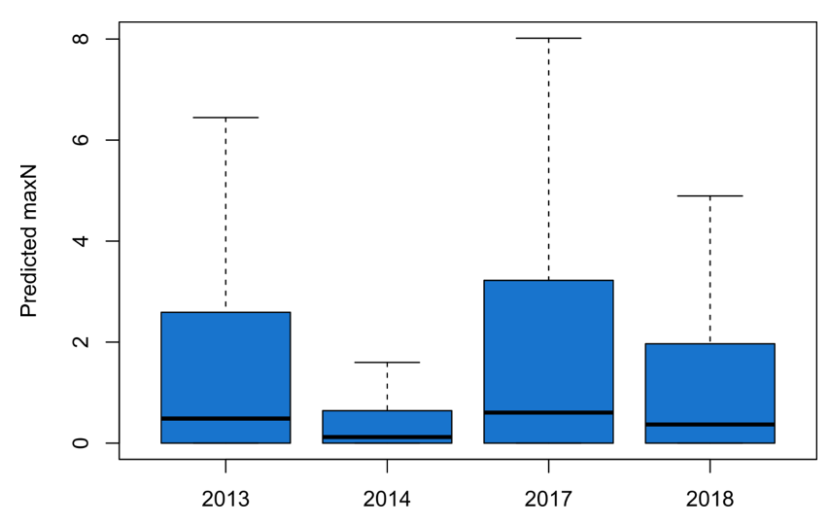 Boxplots of predicted maxN across all wrasse species in 2013, 2014, 2017 and 2018.