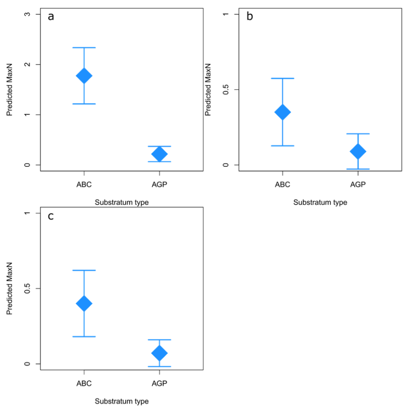 Point plots showing comparisons of predicted maxN on algae/boulder/cobble and algae/gravel/pebble substrata for goldsinny, ballan and cuckoo wrasse.